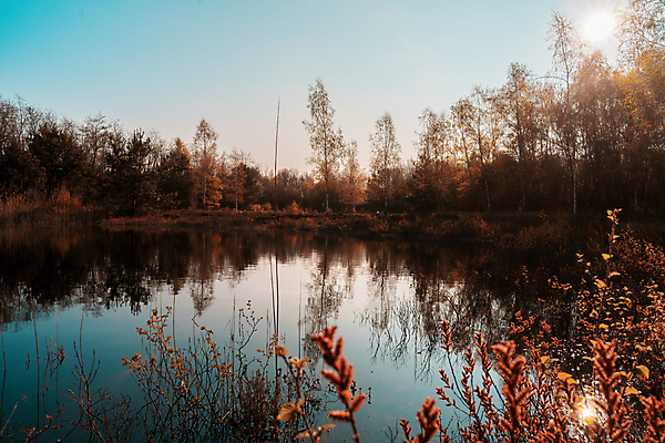 포토 JPG 해외이미지 주간 응시 단풍 잎 아침 날씨 휴식 산 파노라마 그림자 사람없음 햇빛 태양 반사 일출 침묵 카펫 흐름 안개 시간 개울 분위기 변화 매끈함 저녁 숲 편안함 그림 장면 층 천국 밭일 오리지널 혼자 회복 해외포토 자연요소 식물 시선 컨셉 촬영기법 강 노을 소리 감각 야간 파일형식 이미지허브