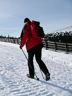 포토 JPG 해외이미지 주간 전신 남자 겨울 산 한명 성인 야외 옆모습 걷기 등산 트래킹 하이킹 추위 잡기 서리 알프스 등산스틱 폭설 눈내림 성인남자한명만 겨울풍경 설산 해외포토 자연요소 1 계절 유럽 뷰포인트 모션 레저 눈_날씨 사람 풍경 자연재해 등산용품 남자한명만 성인남자만 파일형식 이미지허브