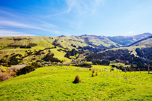 포토 JPG 해외이미지 나무 바다 섬 여행 밭 자연 산 사람없음 야외 물 파란색 울타리 햇빛 태양 농장 농경지 봄 시골 만 언덕 목가 해외포토 자연요소 식물 계절 컬러 농업 담장 생태계 파일형식 이미지허브