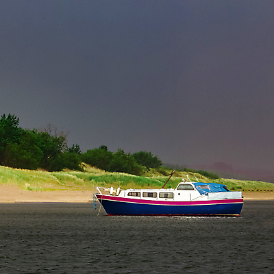 포토 JPG 해외이미지 주간 나무 바다 항해 사람없음 야외 큼 유람선 크루즈 해외포토 자연요소 식물 배_교통 크기 파일형식 이미지허브