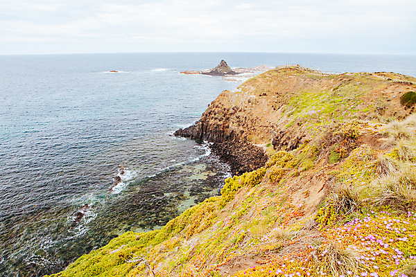 포토 JPG 해외이미지 주간 식물 모래 파도 바다 여행 자연 하늘 사람없음 야외 물 파란색 맑음 침묵 산책로 서핑 호주 씻기 장면 멜버른 해외포토 자연요소 길 컬러 날씨 소리 청결 수상스포츠 오세아니아 생태계 파일형식 이미지허브