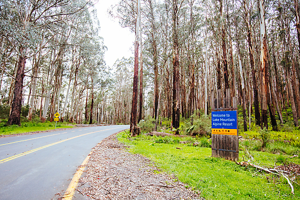 포토 JPG 해외이미지 계절 공원 도로 건축양식 자동차 자연 휴가 산 사람 사람없음 건물 마을 추위 호주 정상 휴양지 선로 전국 해외포토 건축물 공공시설 건축 길 육상교통 교통시설 장소 오세아니아 생태계 파일형식 이미지허브