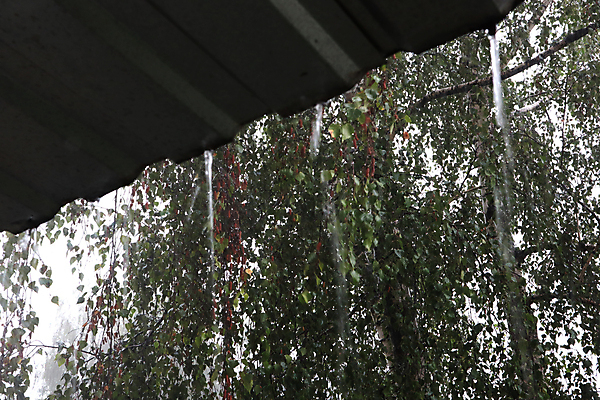 포토 JPG 해외이미지 계절 백그라운드 자연 지붕 날씨 주택 통 사람없음 야외 건물 가로 물 파란색 환경 금속 정원 재활용 젖음 흐름 신선 개울 붓기 모서리 호주 떨어짐 홍수 빗방울 수도꼭지 만들기 폭풍 빗물 배수구 허리케인 해외포토 자연요소 건축물 컬러 컨셉 모션 재질 강 비_날씨 오세아니아 자연재해 친환경 생태계 파일형식 이미지허브