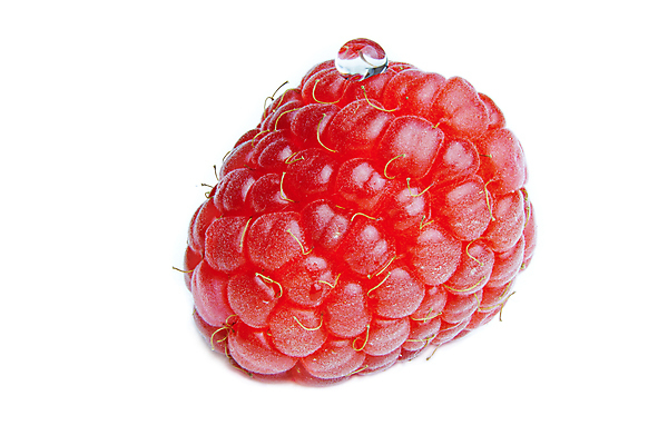 포토 JPG 해외이미지 식물 계절 열매 음식 줄기 백그라운드 다이어트 과일 재료 자연 디저트 건강 사람없음 빨간색 흰색 신선 달콤 맛 잼 다발 먹기 오브젝트 흰배경 유기농 날것 산딸기 내추럴 고립 숙성 신맛 채식주의자 차단 비건 해외포토 웰빙 컬러 컨셉 모션 소스_음식 생태계 채식 파일형식 이미지허브