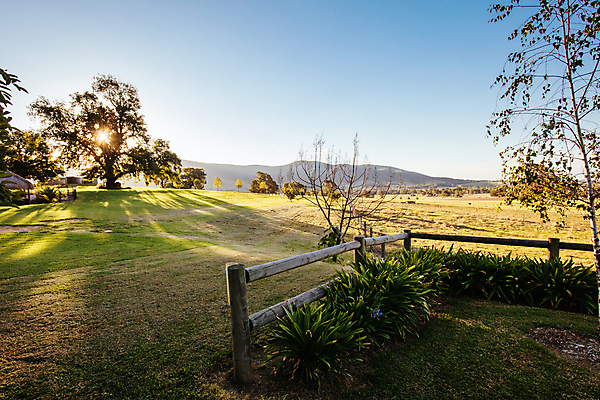 포토 JPG 해외이미지 나무 식물 여행 밭 농업 자연 하늘 산 사람없음 야외 초록색 평화 환경 침묵 시골 호주 땅 언덕 장면 내추럴 수평선 해외포토 산업 컬러 컨셉 소리 오세아니아 생태계 파일형식 이미지허브