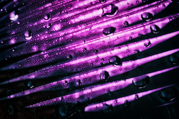 포토 JPG 해외이미지 디자인 옷 백그라운드 패턴 표면 추상 프레임 사람없음 빨간색 파란색 갈색 노란색 유행 우주 공백 직물 면 거친 삼베 묘사 유기농 질감 복고 캔버스 섬유 시들음 짜임 내추럴 아마 엘리먼트 엮은 옛날 잔물결 접기 필터 해외포토 웰빙 꽃 물결 컬러 무늬 모션 파일형식 천_직물 이미지허브