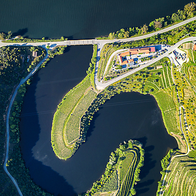 포토 JPG 해외이미지 나무 공원 유럽 여행 농업 자연 포도 안테나 파노라마 숙이기 풍경 사람없음 야외 초록색 물 강 컬러풀 마을 와인 계곡 강가 포르투갈 언덕 포도나무 내추럴 도루강 드론 해외포토 자연요소 식물 공공시설 나라 산업 컬러 포즈 과일 통신 주류 촬영기법 과일나무 생태계 파일형식 이미지허브