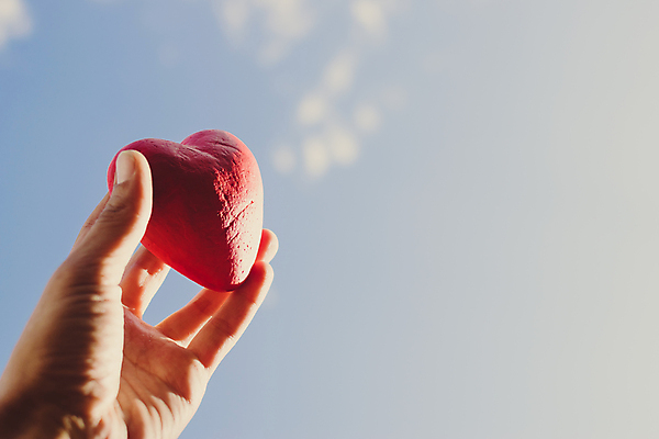 포토 JPG 해외이미지 모양 손 여자 남자 행복 결혼 백그라운드 컨셉 가족 관계 자연 하늘 결혼식 발렌타인데이 건강 관리 선물 사랑 사람 사람없음 장식 빨간색 우주 의사 하트 심장 축하 인사 잡기 심볼 나눔 돌봄 헬프 해외포토 감정 컬러 모션 데이이벤트 이벤트 신체부위 의료진 예절 도움 장기_의학 생태계 파일형식 이미지허브