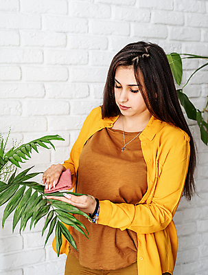 포토 JPG 해외이미지 여자 화분 잎 실내 한명 상반신 성인 노란색 닦기 성인여자한명만 홈가드닝 해외포토 식물 1 컬러 모션 사람 내부 원예 여자한명만 성인여자만 파일형식 이미지허브