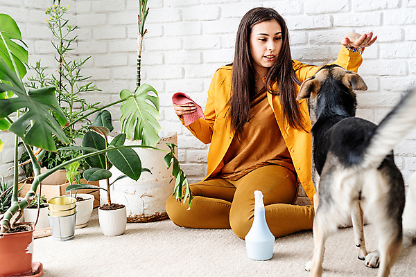 포토 JPG 해외이미지 전신 여자 화분 반려견 잎 실내 한명 앉기 성인 노란색 강아지 분무기 놀기 성인여자한명만 홈가드닝 해외포토 식물 1 컬러 모션 사람 내부 반려동물 개 원예 여자한명만 성인여자만 파일형식 이미지허브