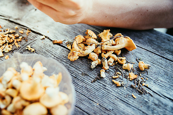 포토 JPG 해외이미지 손 계절 채소 재료 휴가 건강 요리 사람없음 야외 목재 농장 노란색 주방 식사 저녁식사 버섯 회색 기구 시골 칼 맛 오두막 청소 먹기 준비 영양분 전문 채식주의자 해외포토 나무 컬러 컨셉 농업 모션 신체부위 채식 파일형식 이미지허브