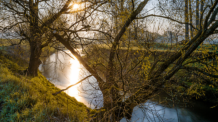 포토 JPG 해외이미지 나무 식물 계절 실루엣 호수 오렌지 자연 하늘 아침 따뜻함 사람없음 야외 초록색 물 파란색 빛 강 컬러풀 햇빛 태양 뷰티 반사 노란색 평화 일출 침묵 황혼 일몰 봄 새벽 거울 하이킹 탐험 안개 언덕 장면 내추럴 넘어짐 하이커 수평선 해외포토 주간 자연요소 컬러 여행 컨셉 과일 모션 레저 날씨 촬영기법 노을 소리 생태계 파일형식 이미지허브