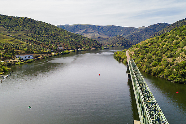 포토 JPG 해외이미지 나무 유럽 여행 농업 자연 포도 안테나 파노라마 사람없음 야외 강 와인 계곡 기차 시골 포르투갈 언덕 올리브 포도밭 포도나무 내추럴 도루강 드론 해외포토 식물 열매 나라 산업 육상교통 밭 과일 통신 대중교통 주류 촬영기법 과일나무 생태계 파일형식 이미지허브