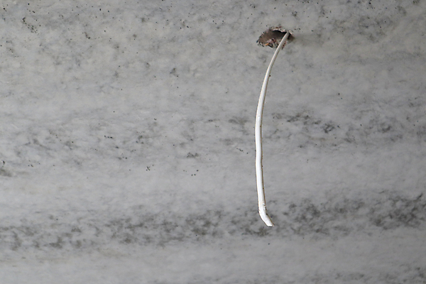 포토 JPG 해외이미지 직업 산업 선 벽 백그라운드 건축양식 불꽃 바닥 주택 매달리기 사람없음 빛 금속 힘 장비 수확 흰색 램프 업무 수리 제조 은색 위험 창고 오브젝트 천장 순환 철사 고정 수납 정비공 점검 건축업자 설치 해외포토 건축 컬러 컨셉 농업 모션 재질 불 조명 건물 작업 기술자 파일형식 이미지허브