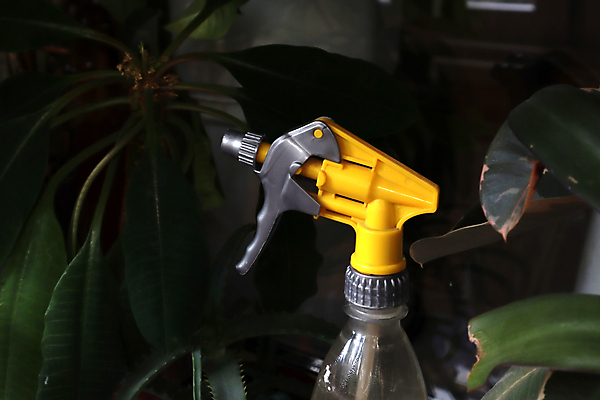 포토 JPG 해외이미지 식물 손 여자 꽃 화초 장갑 백그라운드 잎 가사 가정 자연 주택 실내 사람없음 내부 장식 초록색 물 빛 정원 방 장비 성장 흰색 신선 난초 냄비 플라스틱 오브젝트 원예 스프레이 분무기 닦기 청소부 내추럴 고립 돌봄 위생관리 그리너리 해외포토 자연요소 직업 잡화 컬러 모션 재질 관리 사람 취미 건물 신체부위 솥 생태계 파일형식 트랜드컬러 이미지허브