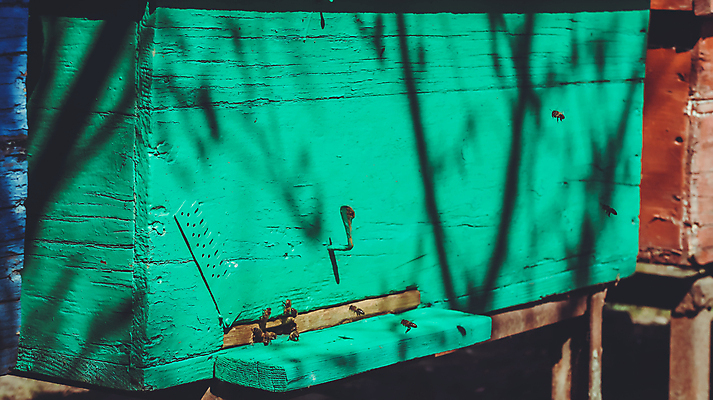 포토 JPG 해외이미지 하늘색 교통시설 자연 탁자 추상 수영장 미술 서기 앉기 사람없음 야외 목재 초록색 물 방 기차 직물 그래피티 큼 당구 복고 직사각형 옛날 해외포토 자연요소 도형 나무 육상교통 컬러 가구 교통 무늬 재료 모션 문화예술 대중교통 파란색 구기 낙서 크기 시설 그림 생태계 파일형식 이미지허브