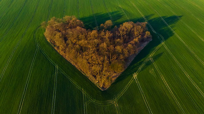 포토 JPG 해외이미지 모양 나무 식물 유럽 야생동물 여행 밭 농업 자연 아침 안테나 사랑 풍경 사람없음 초록색 컬러풀 태양 농장 일출 환경 하트 시골 폴란드 내추럴 드론 브로츠와프 조감도 해외포토 주간 자연요소 동물 감정 나라 산업 컬러 통신 노을 생태계 파일형식 이미지허브