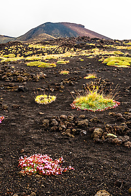 포토 JPG 해외이미지 공원 꽃 유럽 백그라운드 자연 하늘 산 파노라마 사람없음 검은색 이탈리아 하이킹 흐름 정상 폭발 지중해 언덕 화산 장면 분화구 용암 내추럴 재 전국 절정 지질학 해외포토 식물 공공시설 교육 나라 바다 컬러 컨셉 레저 촬영기법 생태계 파일형식 이미지허브