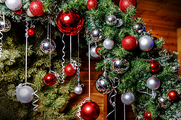 포토 JPG 해외이미지 나무 전통 계절 행복 백그라운드 크리스마스 겨울 패턴 공 자연 탁자 휴가 불꽃 전등 새로움 주택 선물 사람없음 야외 목재 장식 빨간색 초록색 빛 상자 정원 축제 방 나뭇가지 신선 소나무 신용카드 황금 우아함 숲 12월 연도 묘사 질감 상록수 그런지 노엘 가문비나무 해외포토 식물 기념일 감정 컬러 가구 컨셉 무늬 재료 불 조명 건물 금융 날짜 생태계 파일형식 이미지허브