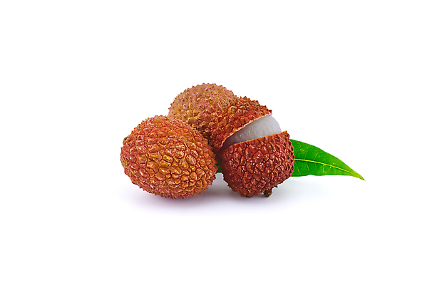 포토 JPG 해외이미지 잎 실내 사람없음 세개 열대과일 흰배경 리치 해외포토 식물 백그라운드 과일 3 내부 흰색 파일형식 이미지허브