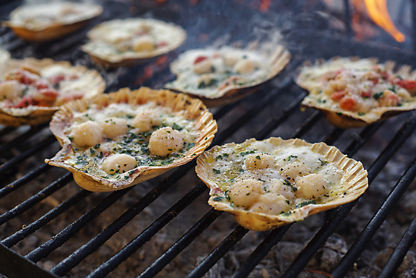 포토 JPG 해외이미지 조개 실내 사람없음 아웃포커스 그릴 굽기 가리비 조개구이 가리비구이 해외포토 주방용품 어패류 촬영기법 내부 구이 파일형식 이미지허브