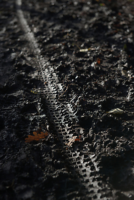 포토 JPG 해외이미지 라이프스타일 계절 길 지구 선 백그라운드 잎 겨울 자국 표면 날씨 추상 부츠 그림자 사람없음 야외 세로 운동 햇빛 환경 자전거 어둠 흙 젖음 습지 그늘 발자국 질감 순환 타이어 지역 진흙 깊이 땅바닥 바이킹 변소 산악자전거 해외포토 식물 신발 무늬 모션 바닥 건강 생활 태양 바이크 파일형식 이미지허브