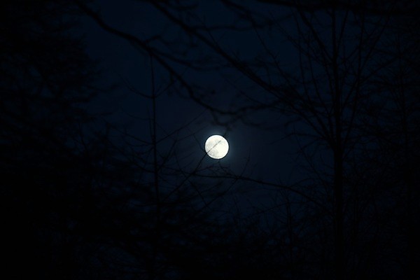 포토 JPG 해외이미지 겨울 자연 하늘 풍경 사람없음 야외 파란색 어둠 보름달 달 흰색 시골 야간 저녁 해외포토 자연요소 계절 컬러 생태계 파일형식 이미지허브