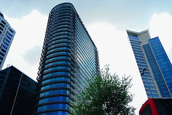 포토 JPG 해외이미지 나무 구름 로우앵글 비즈니스 건축양식 창문 하늘 미래 새로움 건설업 사람없음 야외 건물 금융 경제 도시풍경 컬러풀 햇빛 반사 탑 고층빌딩 올려보기 성장 도시 작업 재산 시티라이프 명승지 철강 해외포토 자연요소 식물 라이프스타일 건축물 건축 산업 뷰포인트 컬러 컨셉 모션 풍경 빌딩 태양 파일형식 이미지허브