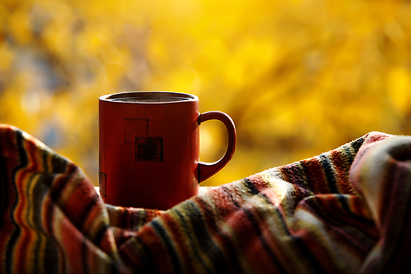 포토 JPG 해외이미지 주간 한잔 실내 따뜻함 사람없음 아웃포커스 담요 해외포토 자연요소 1 촬영기법 내부 파일형식 이미지허브