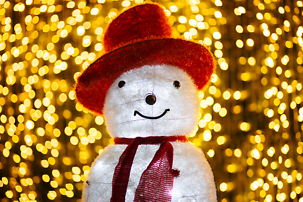 포토 JPG 해외이미지 나무 디자인 별 백그라운드 크리스마스 겨울 패턴 추상 휴가 불꽃 새로움 사람없음 장식 가로 빨간색 파란색 빛 반짝임 노란색 파티 우주 축제 어둠 흰색 축하 원형 신용카드 화려 황금 야간 소프트포커스 연도 질감 보케 마법 빛망울 광 블러 효과 해외포토 자연요소 도형 식물 계절 기념일 컬러 컨셉 무늬 모션 불 촬영기법 이벤트 금융 파일형식 이미지허브