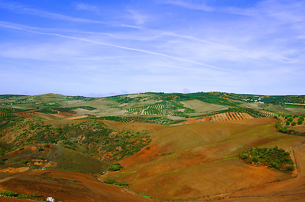 포토 JPG 해외이미지 식물 계절 공원 백그라운드 밭 농업 자연 하늘 날씨 잔디 사람없음 야외 초록색 파란색 농작물 햇빛 태양 뷰티 농장 노란색 환경 맑음 봄 시골 신선 땅 장면 지역 내추럴 밭일 평야 수평선 해외포토 자연요소 공공시설 산업 컬러 생태계 파일형식 이미지허브