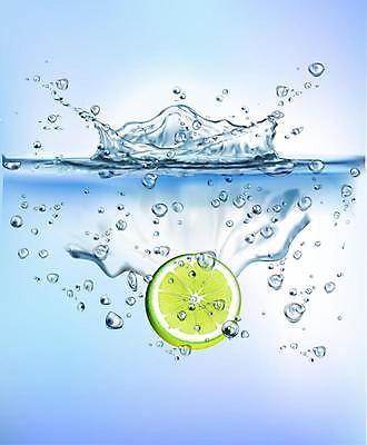 EPS 해외이미지 음식 파도 조각 백그라운드 컨셉 다이어트 채소 오렌지 과일 일러스트 디저트 귤 건강 파노라마 초록색 물 파란색 노란색 얼음 수중 거품 젖음 흰색 신선 액체 달콤 맛 떨어짐 빨래 상쾌 후추 내추럴 고립 멀티 섞기 숙성 채식주의자 스플래쉬 해외일러스트 자연요소 감정 바다 컬러 가사 촬영기법 향신료 채식 파일형식 벡터 이미지허브