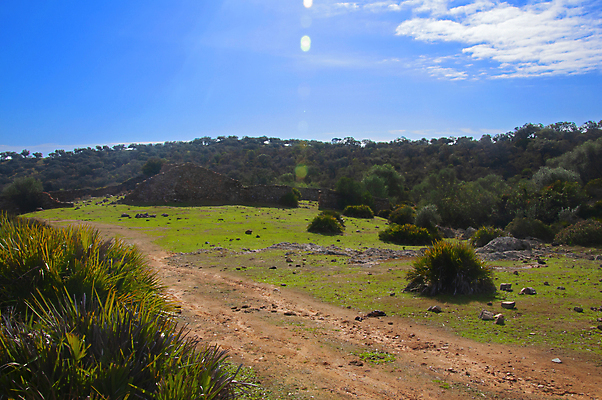 포토 JPG 해외이미지 나무 식물 전통 디자인 외관 공원 유럽 문화 벽 여행 백그라운드 잎 패턴 건축양식 자연 하늘 거리 주택 프레임 사람없음 야외 건물 목재 초록색 뷰티 정원 흰색 시골 신선 오픈 중세 큼 묘사 질감 복고 타운 내추럴 옛날 스타일 해외포토 건축물 공공시설 건축 나라 컬러 무늬 재료 도시 역사 크기 생태계 파일형식 이미지허브