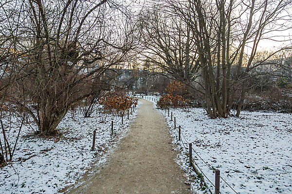포토 JPG 해외이미지 나무 식물 계절 공원 백그라운드 겨울 자연 날씨 사람없음 야외 정원 냉동 추위 흰색 도시 숲 12월 서리 장면 1월 내추럴 2월 해외포토 공공시설 컬러 날짜 생태계 파일형식 이미지허브