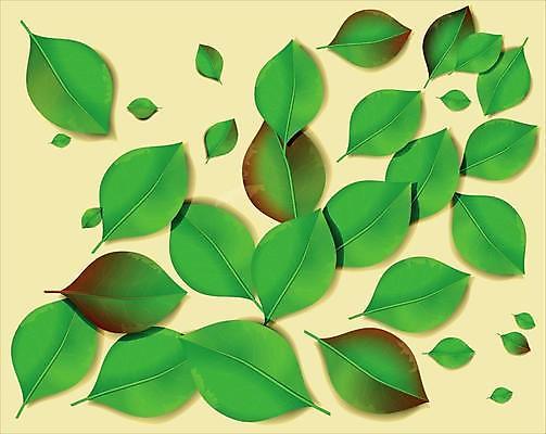 EPS 해외이미지 식물 템플릿 디자인 계절 백그라운드 잎 꽃무늬 패턴 일러스트 자연 수채화 프레임 미술 그래픽 장식 초록색 여름 세트 화환 봄 수확 나뭇가지 시골 신선 신용카드 우아함 숲 허브 그림 에코 유기농 심플 초대 내추럴 고립 엘리먼트 그리너리 해외일러스트 나무 웰빙 꽃 컬러 컨셉 무늬 농업 문화예술 금융 환경 생태계 파일형식 벡터 트랜드컬러 이미지허브