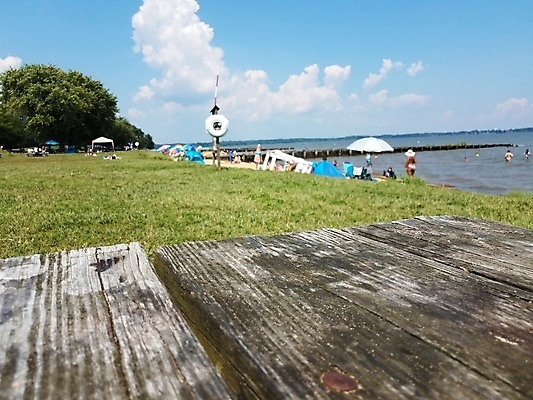 포토 JPG 해외이미지 가족 자연 탁자 표면 사람 사람없음 야외 목재 물 강 해외포토 자연요소 나무 가구 재료 관계 생태계 파일형식 이미지허브