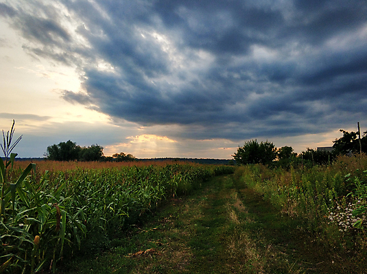 포토 JPG 해외이미지 나무 식물 계절 공원 도로 길 여행 백그라운드 잎 밭 자국 자연 하늘 풍경 잔디 사람없음 목재 초록색 여름 햇빛 평화 정원 맑음 침묵 봄 산책 가을 시골 보행로 숲 오솔길 땅 내추럴 굴곡 방법 해외포토 공공시설 컬러 컨셉 농업 재료 교통시설 날씨 휴식 태양 소리 생태계 파일형식 이미지허브