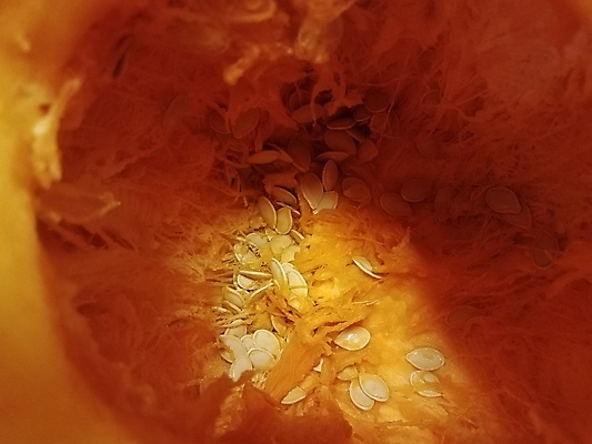 포토 JPG 해외이미지 음식 조각 채소 오렌지 호박 실내 씨앗 사람없음 내부 박 스쿼시 해외포토 식물 스포츠 과일 구기 파일형식 이미지허브