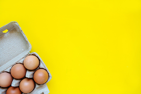 포토 JPG 해외이미지 음식 백그라운드 농업 다이어트 가방 재료 부활절 건강 요리 사람없음 목재 가로 농장 갈색 주방 계란 치킨 껍질 시골 신선 오픈 아침식사 유기농 날것 흙더미 건강식 내추럴 점심식사 단백질 카피스페이스 해외포토 나무 웰빙 잡화 기념일 산업 컬러 알 식사 흙 공백 닭고기요리 영양소 파일형식 더미 이미지허브