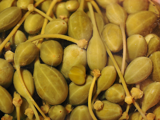 포토 JPG 해외이미지 열매 음식 백그라운드 과일 유리 요리 사람없음 항아리 피클 식초 절임 해외포토 식물 재질 도자기 파일형식 이미지허브