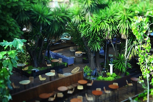 포토 JPG 해외이미지 나무 식물 디자인 외관 음식 여행 가구 백그라운드 의자 자연 탁자 하늘 호텔 휴가 휴식 손바닥 그림자 사람없음 야외 목재 장식 초록색 파란색 태양 식당 정원 식사 저녁식사 봄 카페 흰색 도시 바 고급 작음 휴양지 갸우뚱 스타일 효과 해외포토 자연요소 손 계절 컬러 생활용품 컨셉 재료 모션 숙소 상점 장소 크기 생태계 파일형식 이미지허브