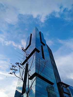 포토 JPG 해외이미지 나무 구름 로우앵글 비즈니스 건축양식 창문 하늘 미래 새로움 건설업 사람없음 야외 건물 금융 경제 도시풍경 컬러풀 햇빛 반사 탑 고층빌딩 올려보기 성장 도시 작업 재산 시티라이프 명승지 철강 해외포토 자연요소 식물 라이프스타일 건축물 건축 산업 뷰포인트 컬러 컨셉 모션 풍경 빌딩 태양 파일형식 이미지허브