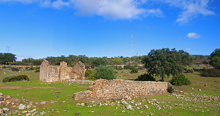 포토 JPG 해외이미지 나무 식물 전통 디자인 외관 공원 유럽 문화 벽 여행 백그라운드 잎 패턴 건축양식 자연 하늘 거리 주택 프레임 사람없음 야외 건물 목재 초록색 뷰티 정원 흰색 시골 신선 오픈 중세 큼 묘사 질감 복고 타운 내추럴 옛날 스타일 해외포토 건축물 공공시설 건축 나라 컬러 무늬 재료 도시 역사 크기 생태계 파일형식 이미지허브