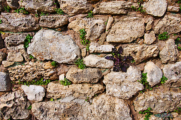 포토 JPG 해외이미지 식물 디자인 계절 꽃 도로 벽 여행 백그라운드 잎 패턴 오렌지 자연 하늘 표면 아침 추상 산 사람없음 야외 초록색 빛 햇빛 태양 뷰티 갈색 노란색 환경 정원 일몰 봄 새벽 흰색 시골 묘사 질감 사암 내추럴 옛날 해외포토 주간 자연요소 길 컬러 무늬 과일 교통시설 노을 돌_바위 생태계 파일형식 이미지허브