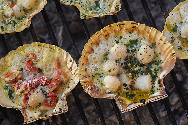 포토 JPG 해외이미지 조개 실내 근접촬영 사람없음 하이앵글 그릴 굽기 가리비 조개구이 가리비구이 해외포토 뷰포인트 주방용품 어패류 내부 구이 파일형식 이미지허브