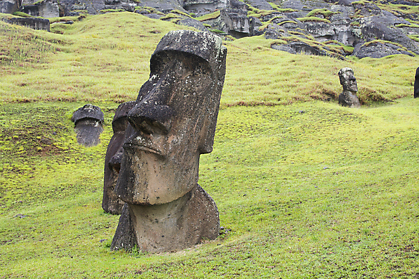 포토 JPG 해외이미지 문화 조각 섬 여행 자연 부활절 미술 풍경 사람없음 야외 조각상 바위 역사 재산 신비 태평양 신성 폴리네시아 거인 칠레 천연기념물 옛날 전설 해외포토 기념일 바다 컨셉 문화예술 금융 조형물 돌_바위 남아메리카 오세아니아 생태계 파일형식 이미지허브