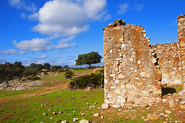 포토 JPG 해외이미지 나무 식물 전통 디자인 외관 공원 유럽 문화 벽 여행 백그라운드 잎 패턴 건축양식 자연 하늘 거리 주택 프레임 사람없음 야외 건물 목재 초록색 뷰티 정원 흰색 시골 신선 오픈 중세 큼 묘사 질감 복고 타운 내추럴 옛날 스타일 해외포토 건축물 공공시설 건축 나라 컬러 무늬 재료 도시 역사 크기 생태계 파일형식 이미지허브