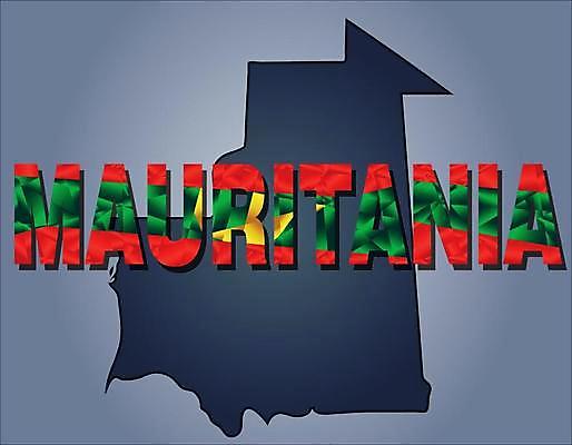 EPS 해외이미지 모양 디자인 실루엣 여행 백그라운드 지도 패턴 일러스트 아프리카 표면 그림자 경사 빨간색 초록색 컬러풀 세계 노란색 검은색 회색 깃발 도시 계획 땅 민주주의 심볼 묘사 사인 대륙 그림 윤곽 영토 지역 북쪽 사하라 고립 공화국 전국 지리 해외일러스트 나라 컬러 컨셉 무늬 촬영기법 사막 방향 파일형식 벡터 이미지허브