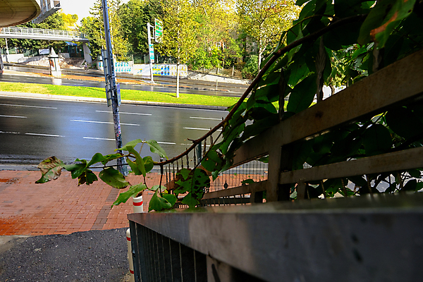 포토 JPG 해외이미지 계절 도로 육상교통 교통수단 여행 백그라운드 비즈니스 교통시설 자동차 자연 바람 날씨 거리 사람없음 야외 물 빛 도시풍경 계단 환경 새벽 운전 젖음 흐름 도시 액체 고속도로 떨어짐 땅 빗방울 사회이슈 시티라이프 폭풍 단계 해외포토 자연요소 라이프스타일 길 교통 컨셉 모션 풍경 비_날씨 시설 생태계 파일형식 이미지허브