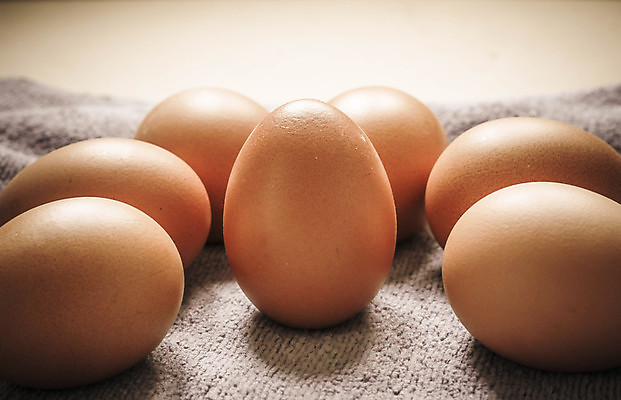 포토 JPG 해외이미지 동물 음식 백그라운드 농업 다이어트 재료 자연 부활절 주택 건강 사람없음 목재 농장 갈색 주방 계란 식사 치킨 껍질 흰색 직물 신선 그룹 사발 아침식사 삼베 유기농 날것 내추럴 고립 단백질 암탉 해외포토 나무 웰빙 기념일 산업 컬러 건물 알 닭 사기그릇 암컷 생태계 닭고기요리 영양소 파일형식 천_직물 이미지허브